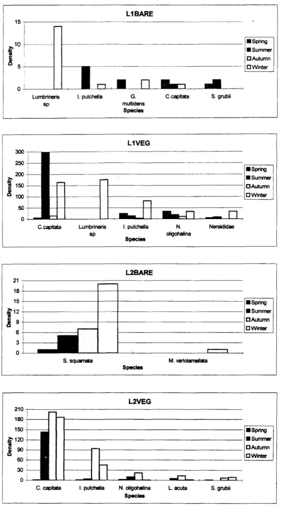 Fig. 3 - Distribution and density of dominant species per O.06mzat each sampling site.