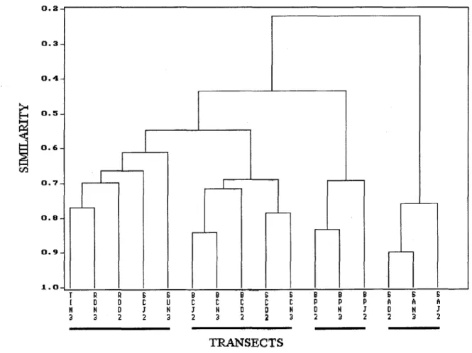 Fig. 3. Cluster analysis ofthe 16 line transects using UPGMA strategy and SBrensen similarity index, the transects codes are