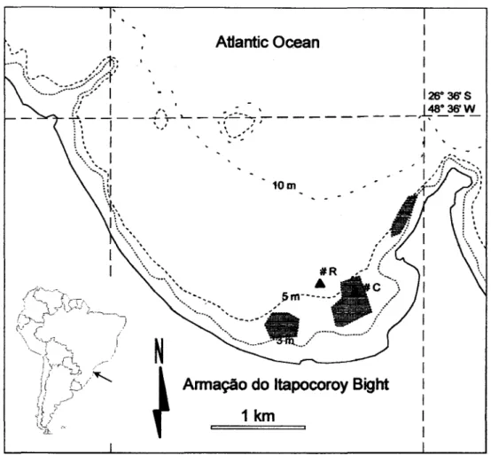 Fig. 1. Armação do hapocoroy Bight showing culture areas (dark hatched) and trap deployment sites (R -