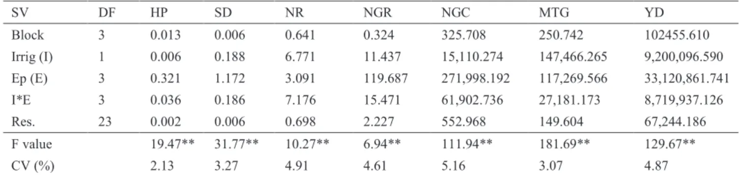 Table 3. Averages for plant height (HP), stem diameter (SD), number of rows per ear (NR) and number of  grains per row (NKR) under irrigation and no irrigation systems at four sowing dates.