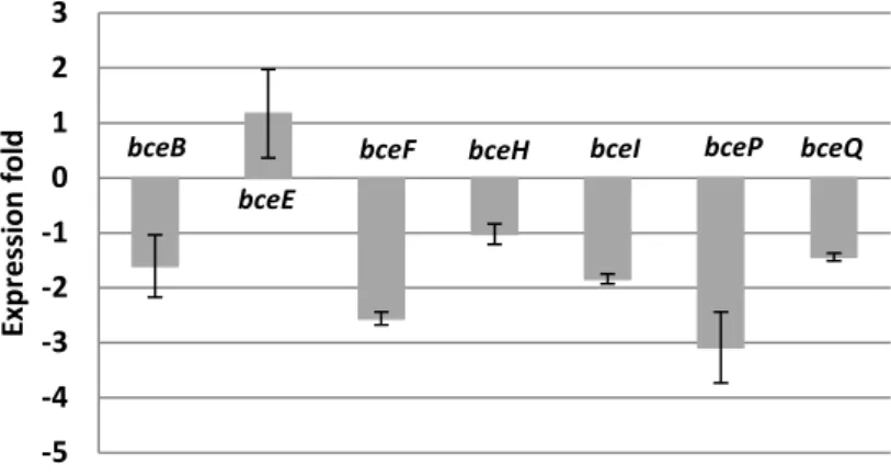Figure 7 - Quantitative real-time RT-PCR analysis of the relative transcript abundance of B