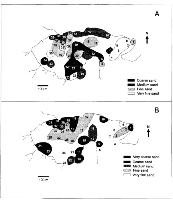 Fig. 2. Spatial distribution ofthe different types of sediment sampled in Saco do Céu Inlet in (A) summer and (B) winter.