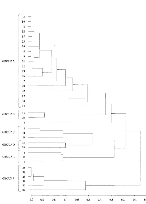 Fig. 3. Dendrogram showing the major groups obtained iTomhierarchical classification among stations in relation to abundance of species in summer.