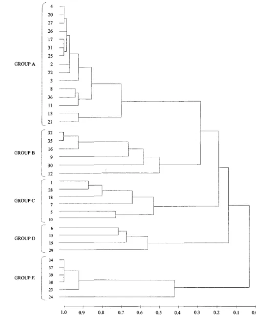 Fig. 4. Dendrogram showing the major groups obtained fiom hierarchical classification among stations in relation to abundance of species in winter.