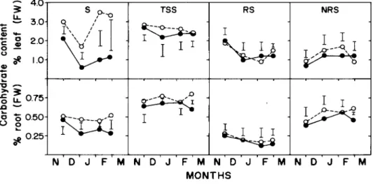 FIGURE 3 - Time course of content of starch (S), total soluble sugars (TSS), reducing sugars (RS) and  non-reducing sugars (NRS) in leaves (upper) and in roots (lower) of fruiting (solid line) and de-fruited  (dotted line) coffee trees, from early December