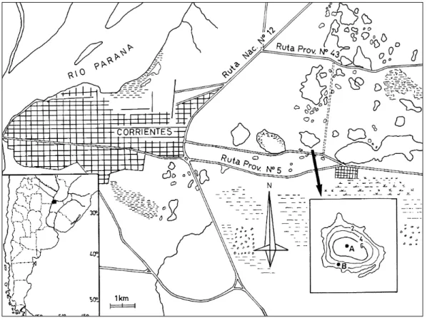 Fig. 1 — Ubicación de la “laguna Aeroclub” en el NO de la provincia de Corrientes (Argentina) y estaciones de muestreo (A: zona limnética, B: zona litoral).