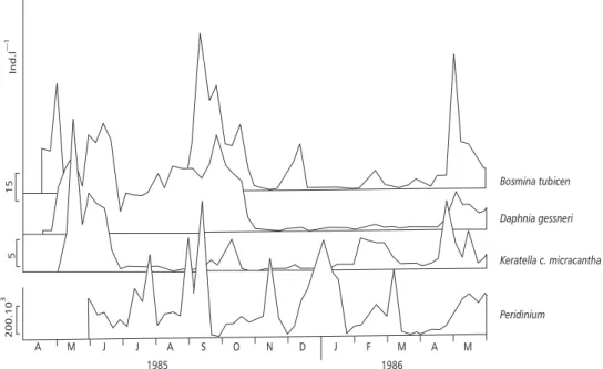 Fig. 3 — Density fluctuations of the main Chaoboridae prey, from April 1985 to May 1986.