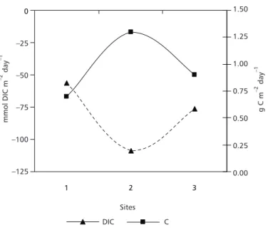 Fig. 2 — Spatial biologically mediated net flux of dissolved inorganic carbon (DIC) and its equivalence in carbon (C) synthesized (= organic carbon produced)