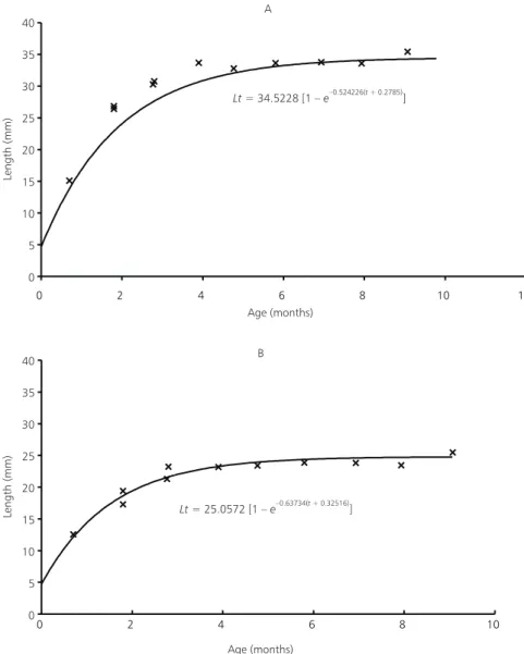 Fig. 3 — Length growth curves (A) males and (B) females of Cynopoecilus melanotaenia, collected from April/94 to March/