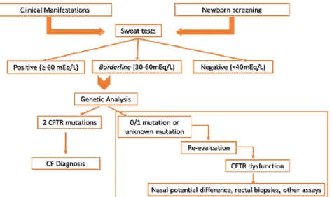 Figure 1.1 - Cystic Fibrosis Diagnosis Algorithm. The diagnosis of CF is firstly relied in clinical manifestations  and in newborn screen results, secondly, it is necessary to have two positive sweat tests and finally two known CFTR  mutations