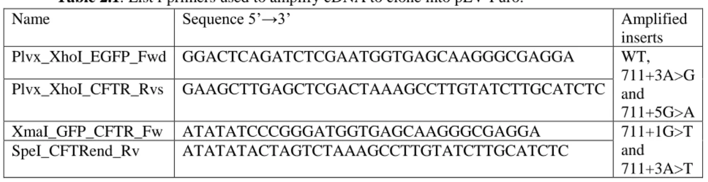 Table 2.1: List f primers used to amplify cDNA to clone into pLV-Puro. 