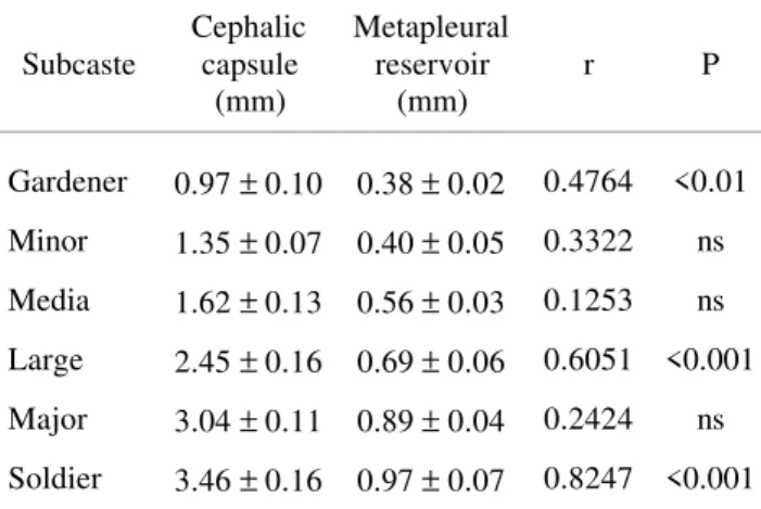 Table 1. Mean values (± standard deviation) for cephalic capsule width and metapleural reservoir length of the worker subcastes of A