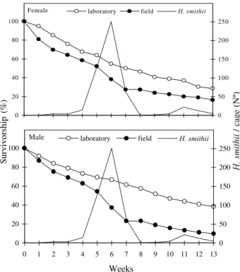 Figure 2. Mean survivorship of laboratory reared and field collected  E. heros  population, kept under controlled conditions (25±2ºC, 60±10% RH and 14h L:10h D) and H.