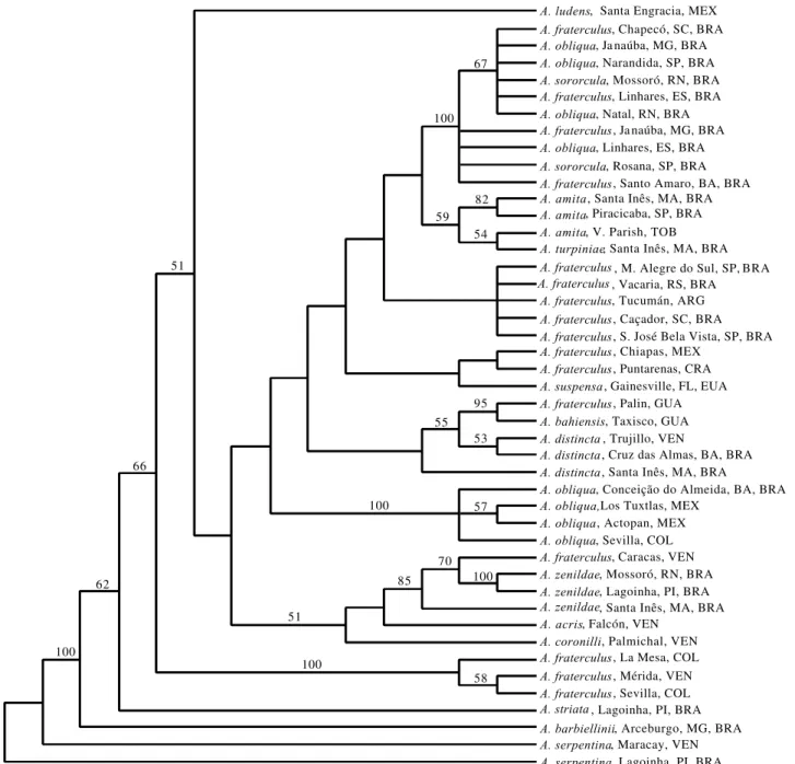 Figure 2. Phylogenetic relationships inferred from the strict consensus of two most parsimonius trees