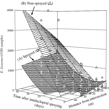 Figure 4. Abundance of E. kraemeri associated with the canopy of common bean plants of sprayed (A) and non-sprayed (B) areas as a function of the time after imidacloprid spraying and the distance from the intersection between both areas (P