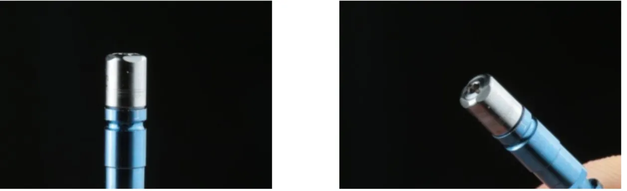 Figure  15  and  16  show  the  different  magnifications  and  platform  geometry  design for the microgap characterization in titanium 