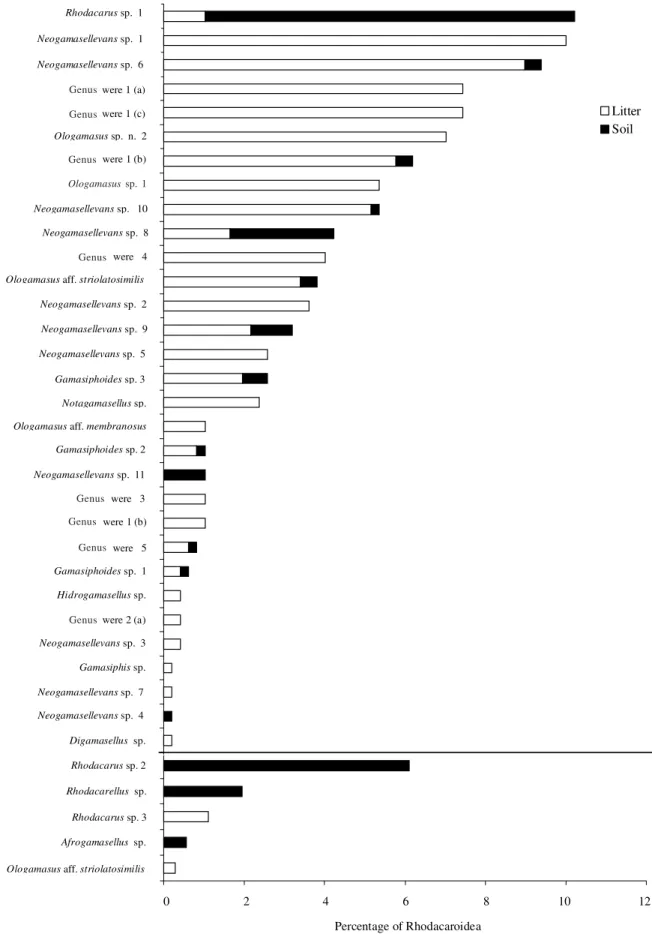 Figure 1. Proportions and absolute numbers (to the right of each column) of the morphospecies of Rhodacaroidea collected in samples of litter and soil taken from the Mata Atlântica and Cerrado of the state of São Paulo.