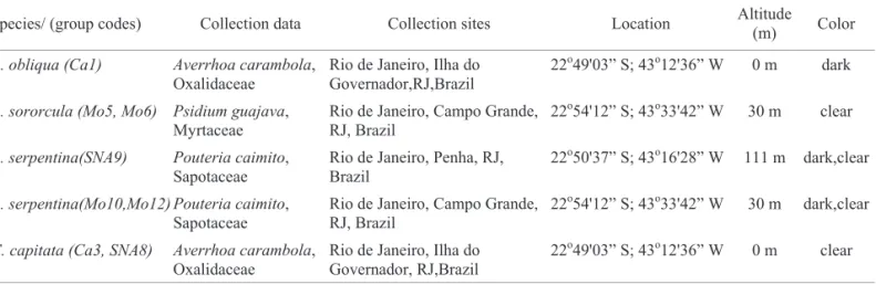 Table 1. Collection data and information on species sequenced and analyzed morphologically in this study Species/ (group codes) Collection data Collection sites Location Altitude