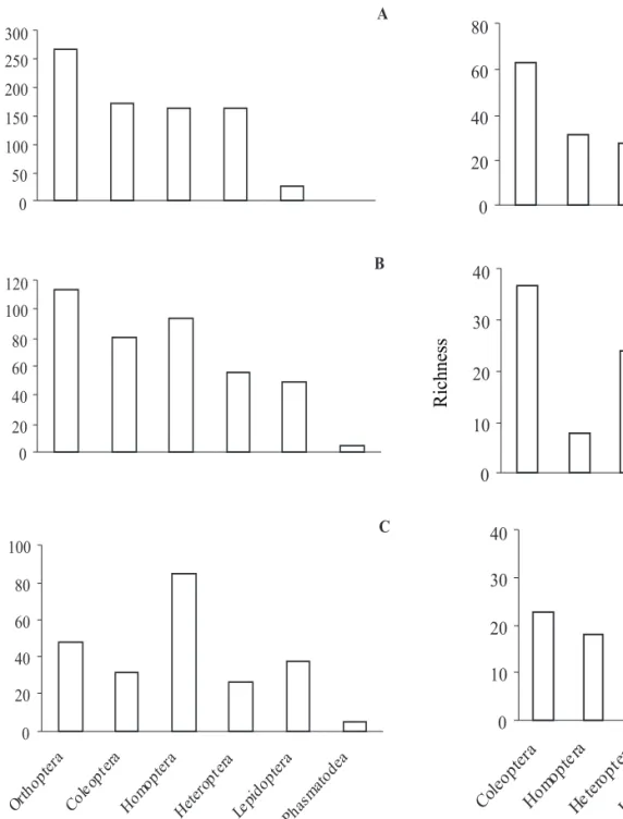 Figure 2.  Richness of herbivorous insect orders at edge (A), trail (B) and interior (C) of the forest at Parque Estadual de Dois Irmãos, Recife, PE, Brazil.
