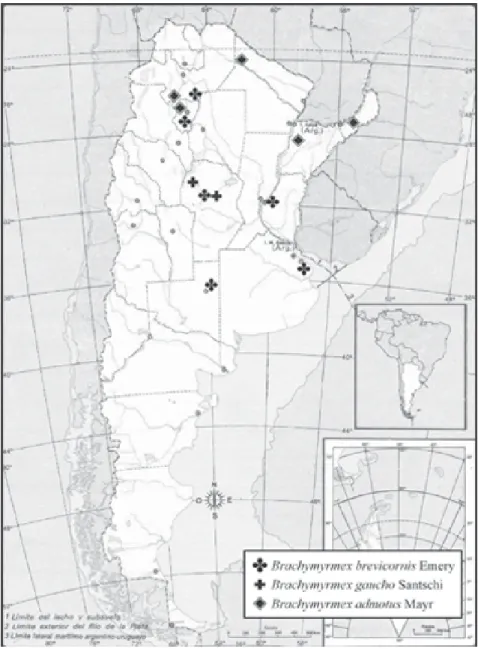 Figura 2. Distribución de las especies B. admotus, B. brevicornis y B. gaucho en Argentina.