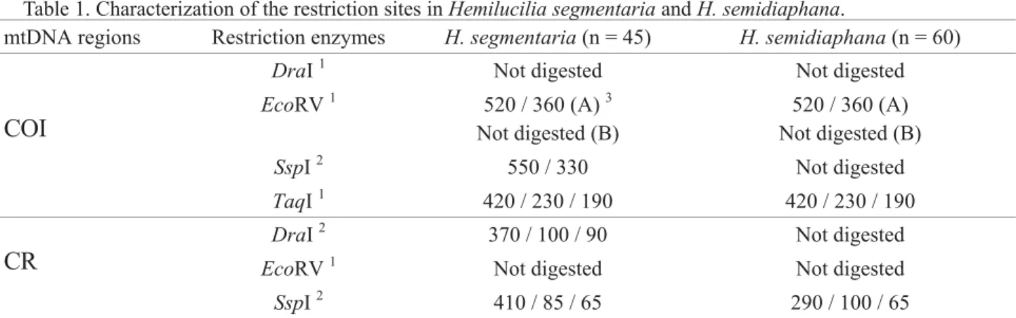 Table 1. Characterization of the restriction sites in Hemilucilia segmentaria and H. semidiaphana.