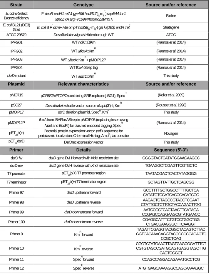 Table 3.1 – List of strains, plasmids, and primers used in this work.  