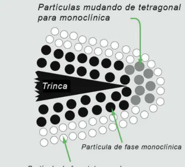 Figura 2.9 - No mecanismo de tenacificação, a trinca que se segue provoca alteração nas partículas de  zircônia a partir da configuração da fase tetragonal para uma fase monoclínica