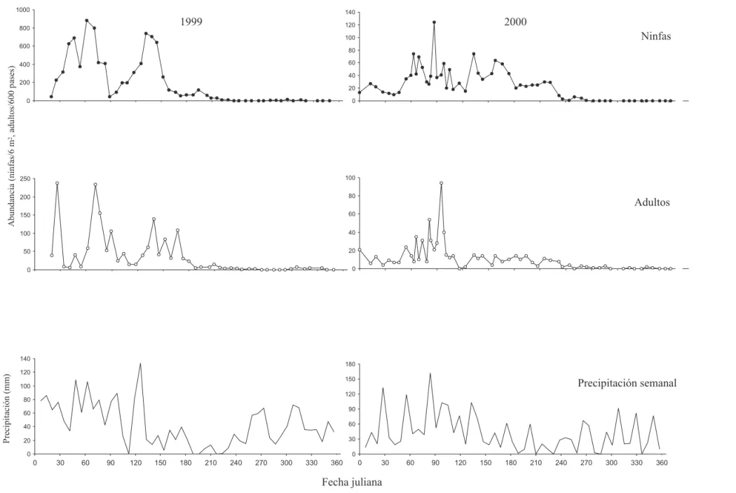 Figura 2. Curvas de fluctuación poblacional de ninfas y adultos de Z. carbonaria y precipitación en Santander de Quilichao, Cauca, Colombia