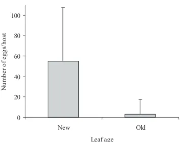 Figure 2. Percentage of eggs laid on each type of leaf per A. monuste female (n = 20) in the laboratory (Wilcoxon test, P &lt; 0.05)