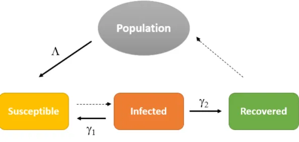 Figure 1. SIRS model diagram.