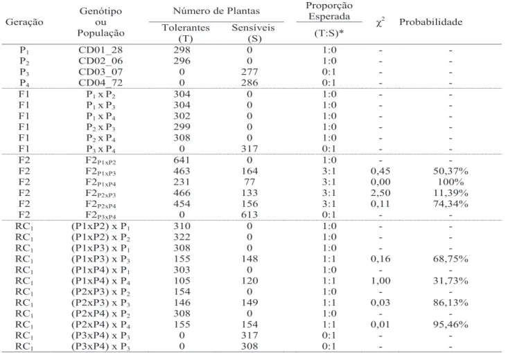 Tabela 2. Frequências observadas e esperadas para tolerância e sensibilidade ao herbicida nicosulfuron,  valores de χ2 e respectivas probabilidades