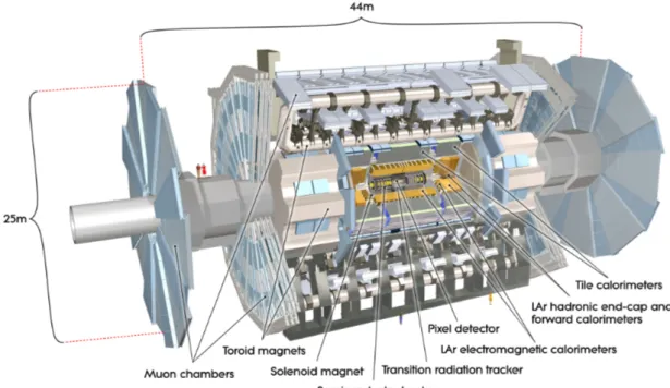 Figure 2.2: Overview of the ATLAS detector where the main sub-detector systems are identified.[16]