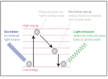 Figure 6 -  Principle of fluorescence (78). 