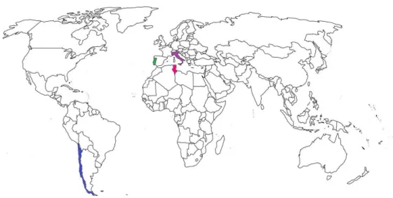 Figure 2.1 - Map of the origin of the P. crustosum strains in the world. Chile is painted in blue, Italy in  purple, Portugal in green and Tunisia in pink