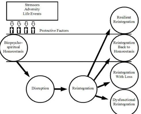 Figure 1. Richardson’s Resilience Model 