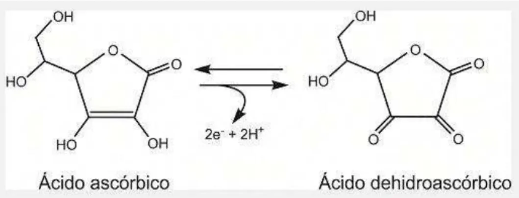 FIGURA  4:  Ilustração  da  estrutura  do  AA  e  reação  de  oxidação  em  L-dehidroascórbico