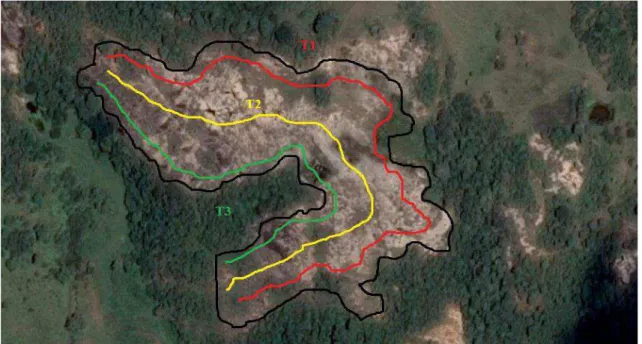 Figura 2. Vista aérea do afloramento rochoso  na Fazenda Tanques,  as  linhas  coloridas  indicam os transsectos percorridos para coleta e observaçãoes durante o trabalho
