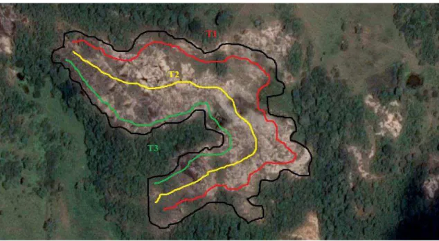 Figura 1. Vista aérea do afloramento rochoso na Fazenda Tanques. As linhas coloridas  indicam os transsectos percorridos para coleta e observaçãoes durante o trabalho