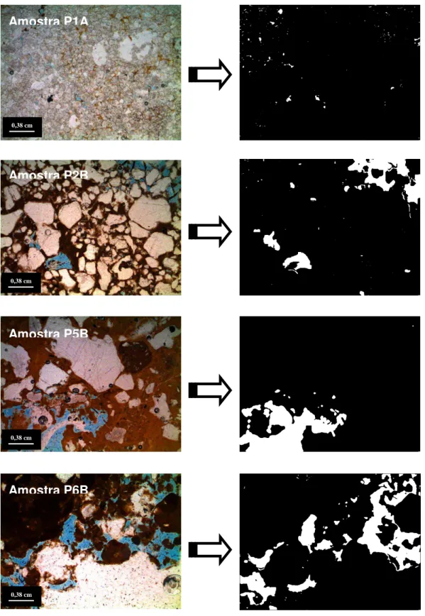 Figura  3.6  -  Micrografias  adquiridas  pela  câmera  acoplada  ao  equipamento,  subsequentes  ao  processamento de segmentação