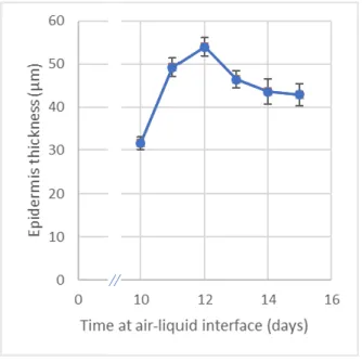 Figure 3.3 - Evolution of epidermis thickness when cultivated at 37 ̊C, during the days surrounding the standard air-liquid  interface period (n = 6, average ± SD)