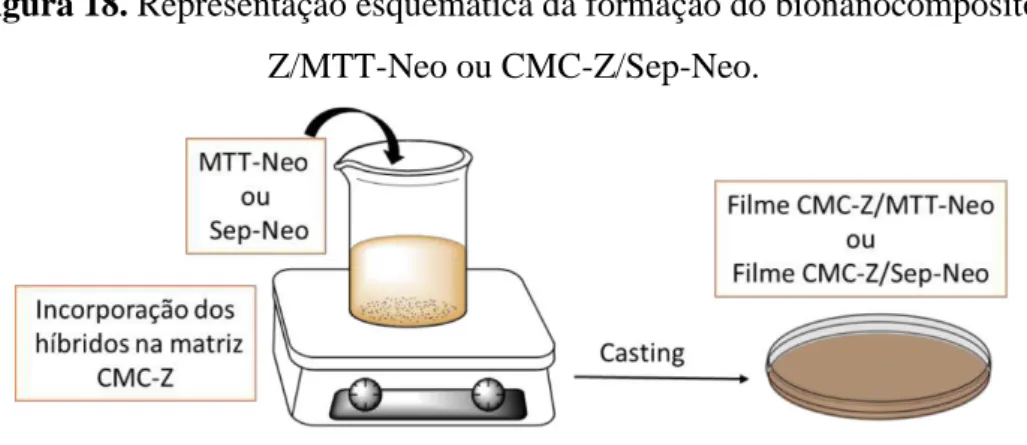 Figura 18. Representação esquemática da formação do bionanocompósito CMC- CMC-Z/MTT-Neo ou CMC-Z/Sep-Neo