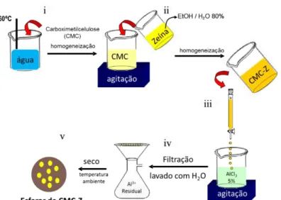 Figura 21. Representação esquemática do processo de síntese das esferas de  carboximetilcelulose-zeína (CMC-Z)