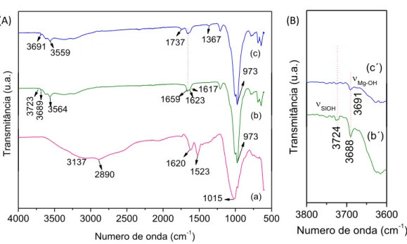 Figura 30. Espetros da região do infravermelho em 4000-500 cm -1  da (a)  neomicina, (b) sepiolita (Sep) (c) Sep-Neo