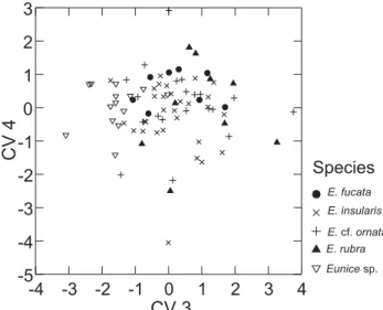 Table I. Pearson correlation between morphometric variables body-size estimator and canonical variates
