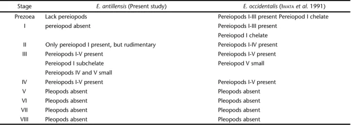 Table II. A comparison between the main characteristics of each zoeal stage of E. antillensis (present study) and E