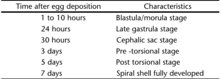 Table I shows the sequence of developmental stages of L.