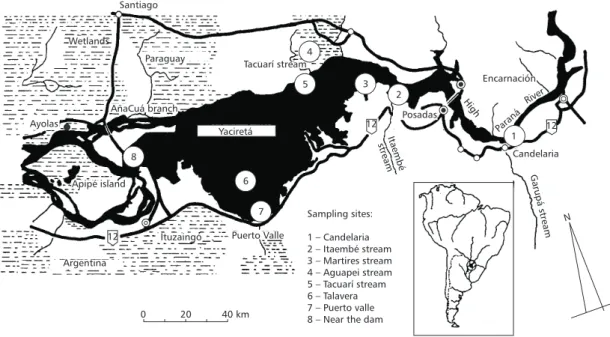 Fig. 1 — Location of the sampling sites in the Yaciretá dam and high Paraná River.
