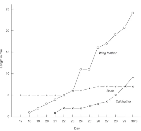 Fig. 4 — Growth of beak, wing, and tail in mm.