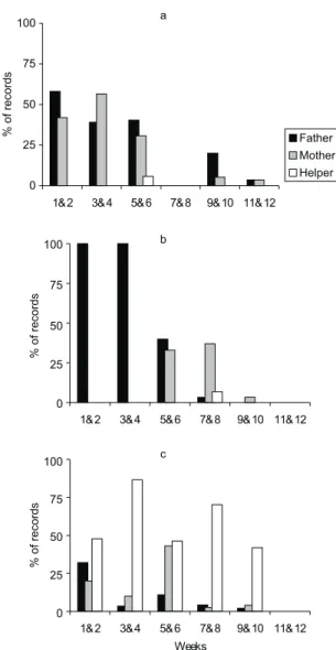 Fig. 1 — Percentage of records of infant carrying behavior by members category in the groups a) wild, b) captive A, and c) captive B.