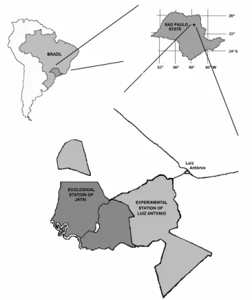Fig. 2 — Localization of the study area.